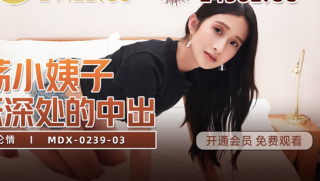 Lewd Sister in law Cheng Shishi